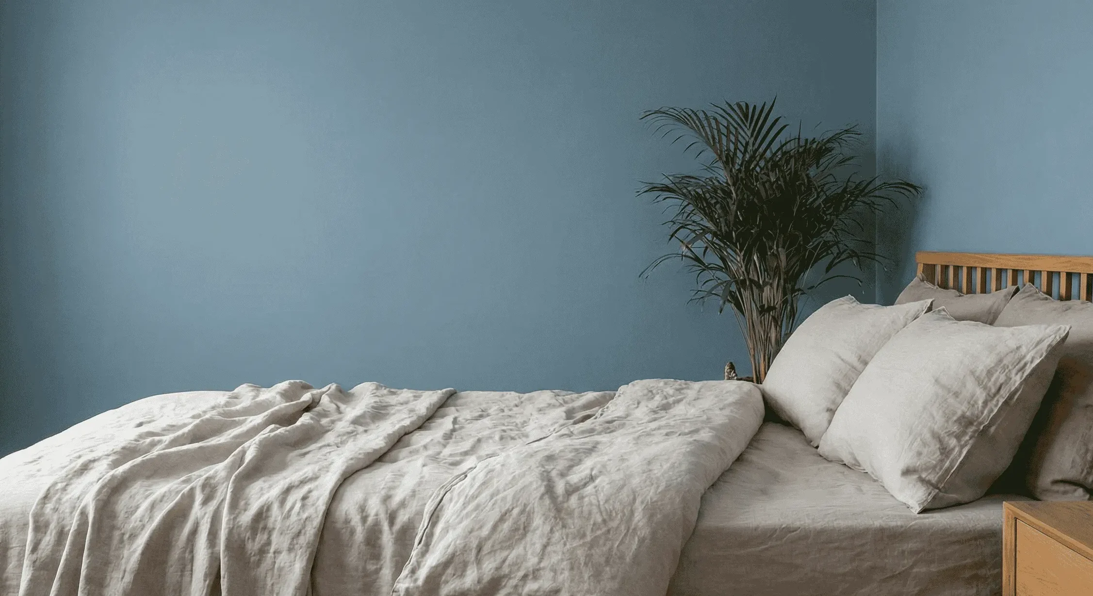 The Emotional Connection